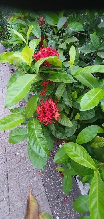 img_id_1118238.webp