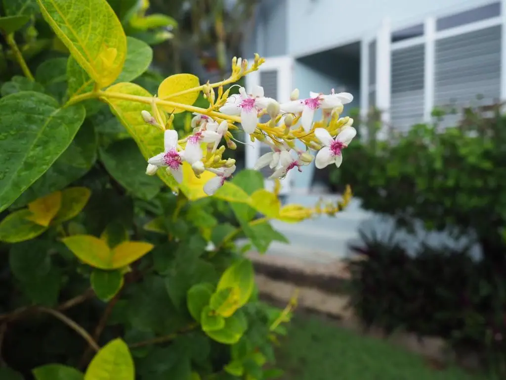 img_id_1118294.webp