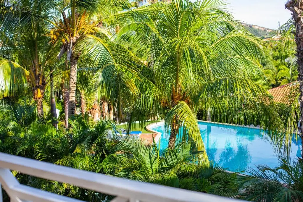 img_id_1120306.webp