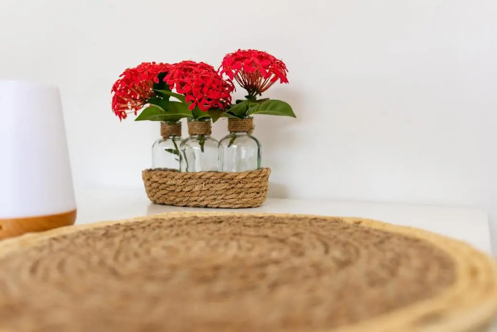 img_id_1120377.webp