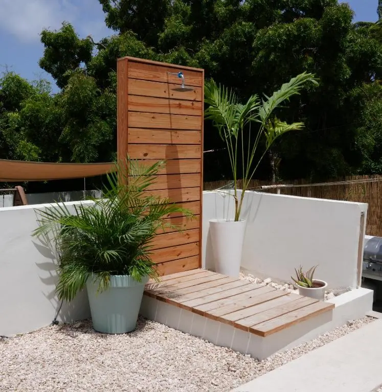 img_id_1120608.webp