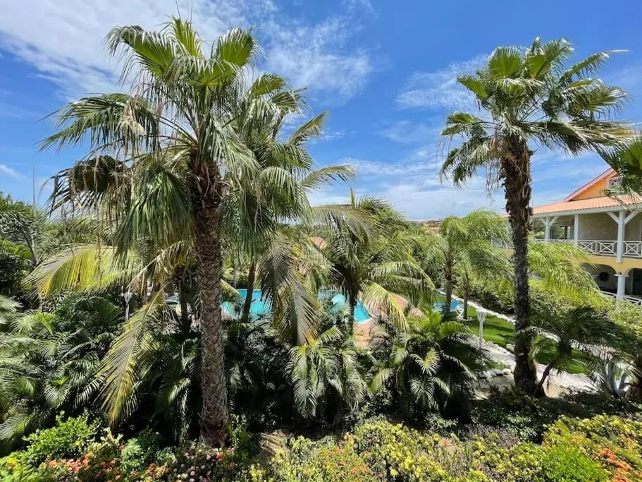 img_id_1120812.webp