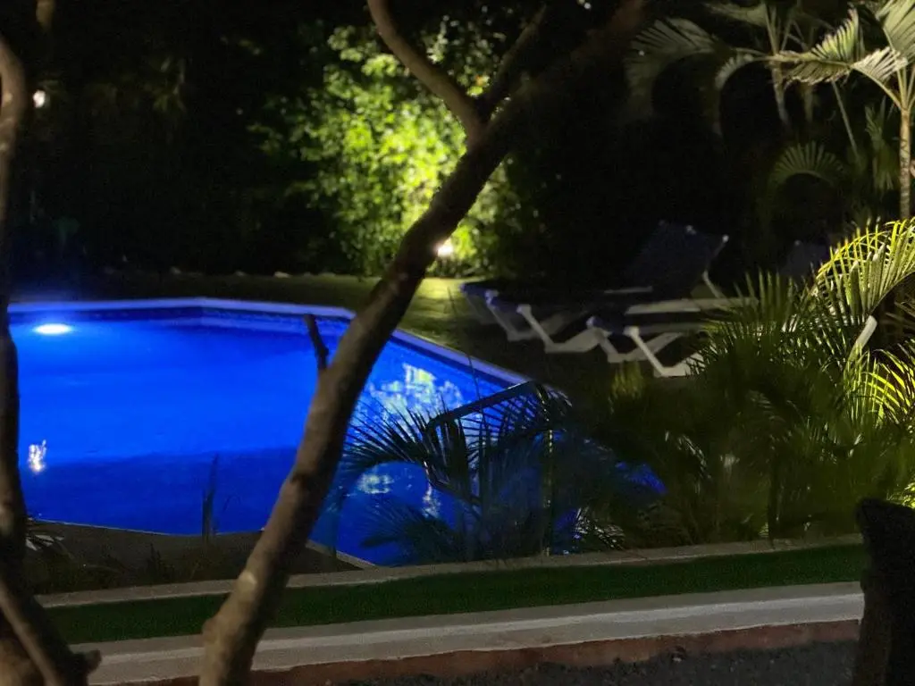 img_id_1120978.webp