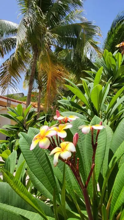 img_id_1123595.webp