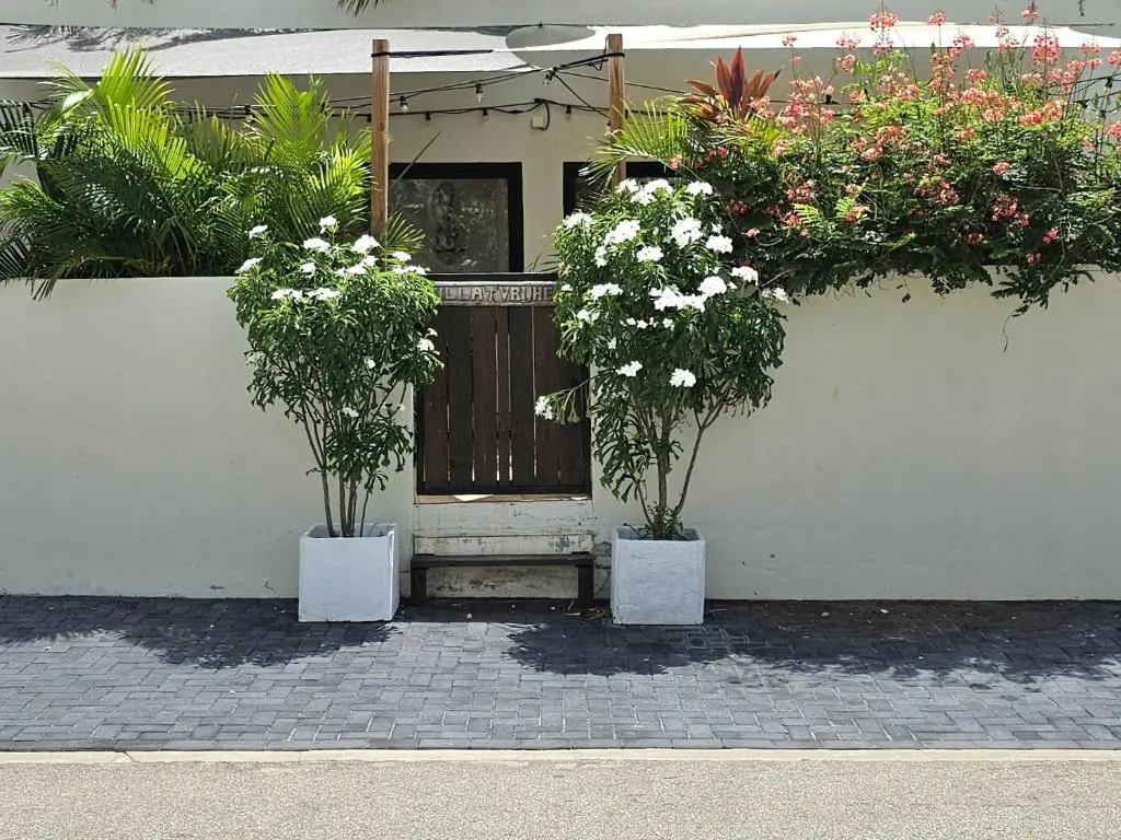img_id_1125974.webp