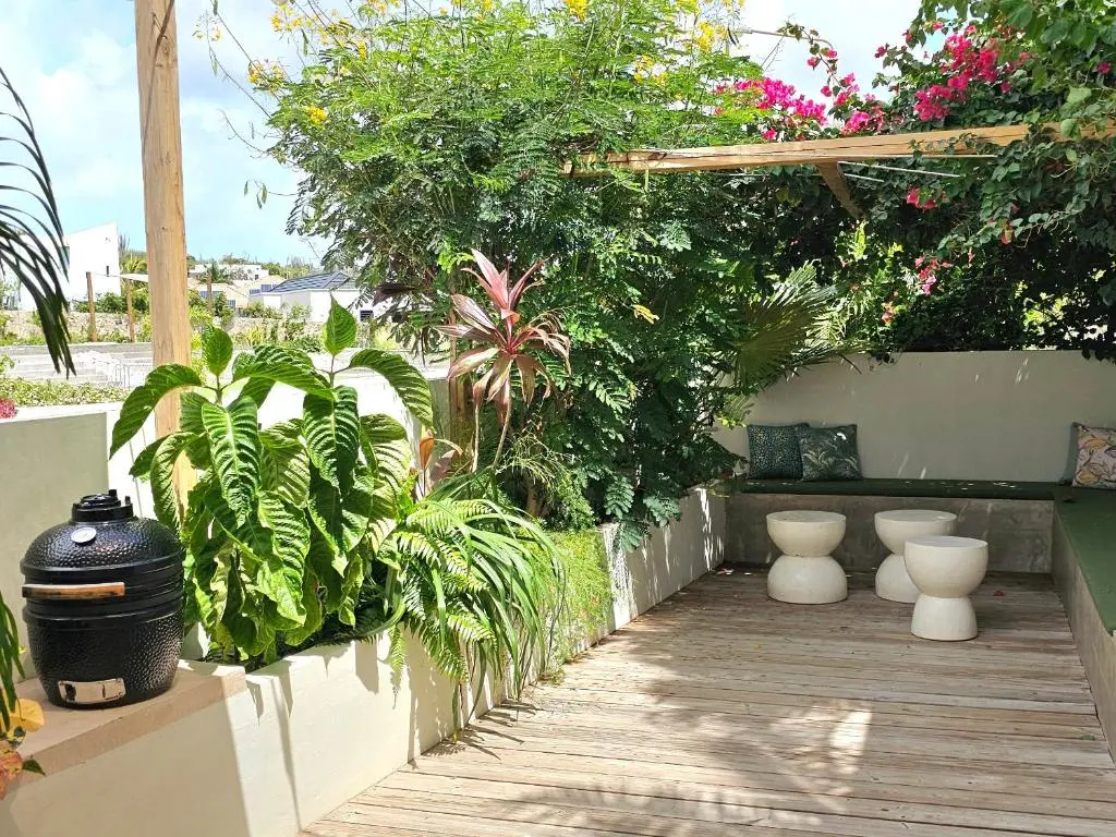img_id_1125978.webp