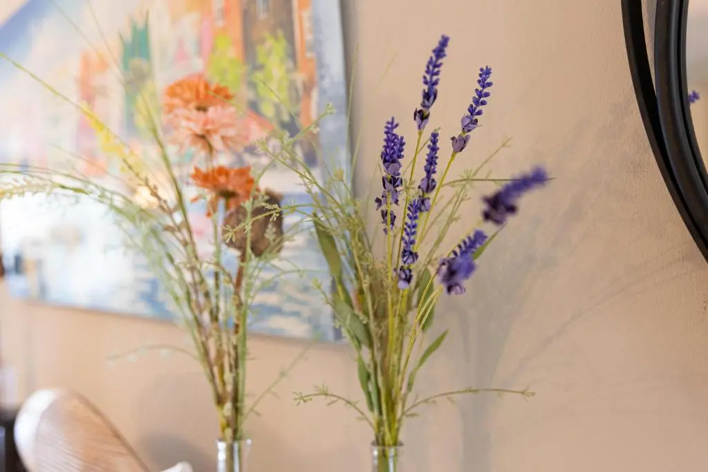 img_id_1126851.webp