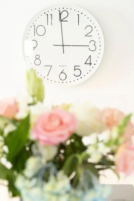 img_id_1127067.webp