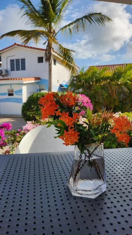 img_id_1129066.webp