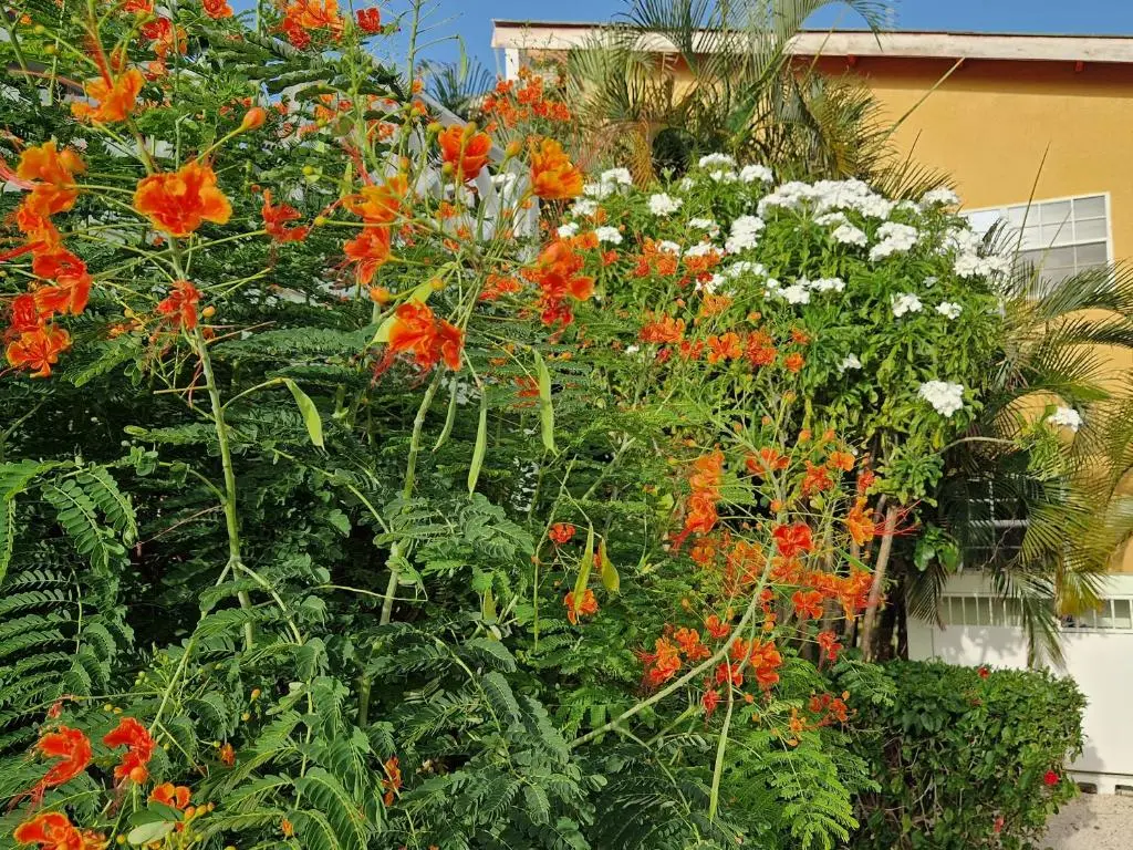 img_id_1129793.webp