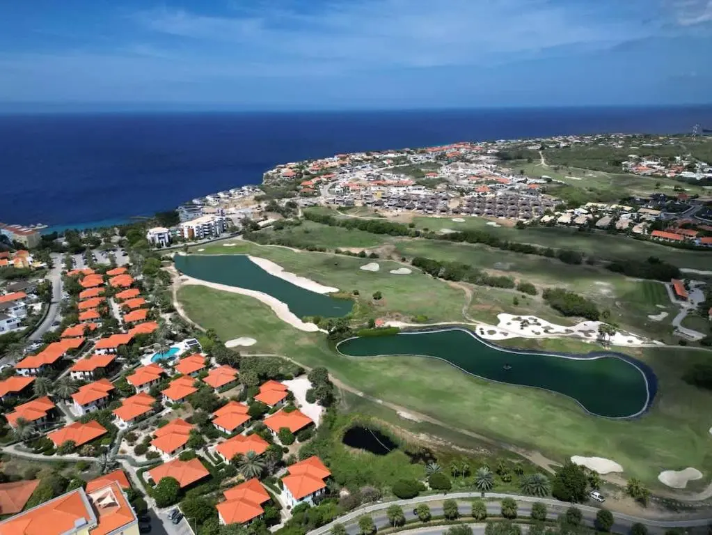 img_id_1130904.webp