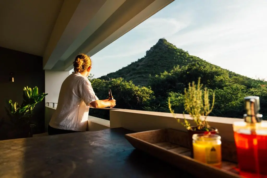 img_id_1130963.webp