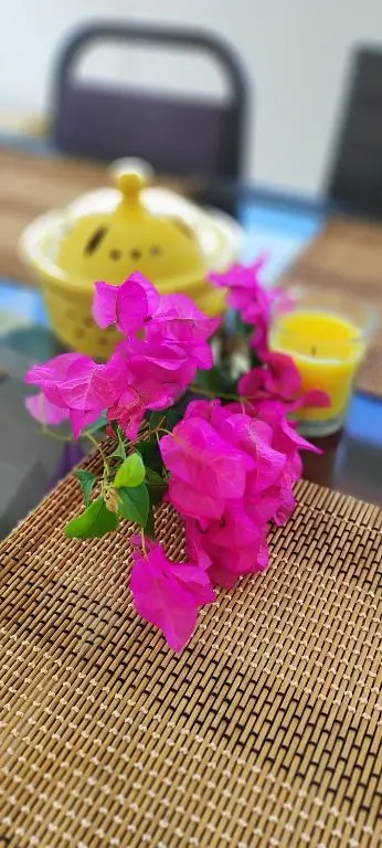 img_id_1131421.webp