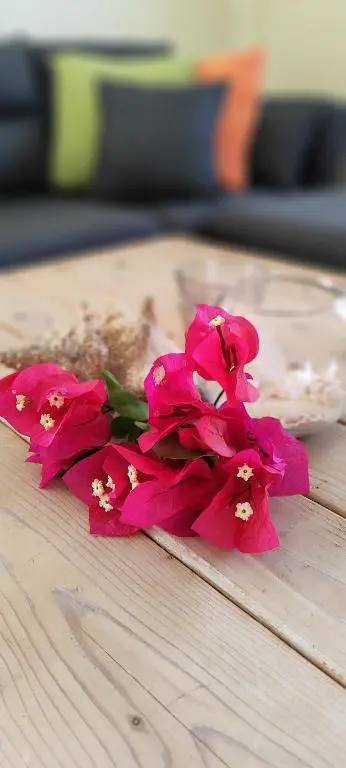 img_id_1131431.webp