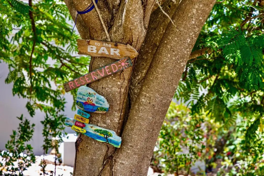 img_id_1131534.webp