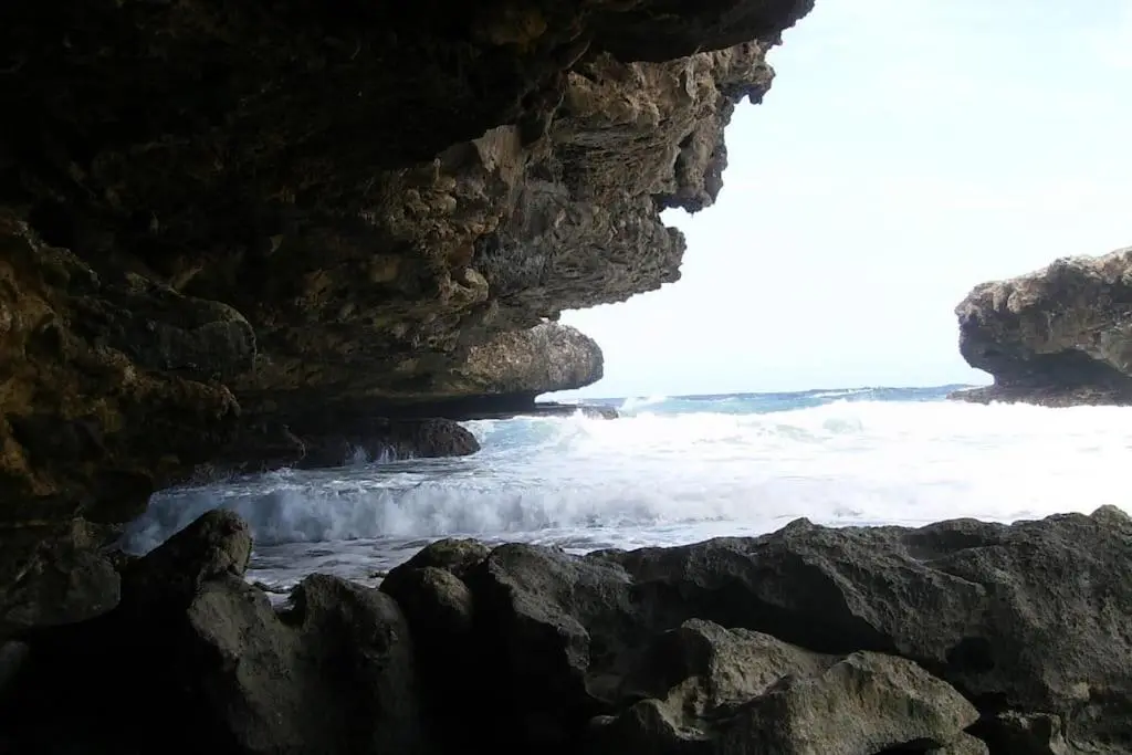 img_id_1134474.webp