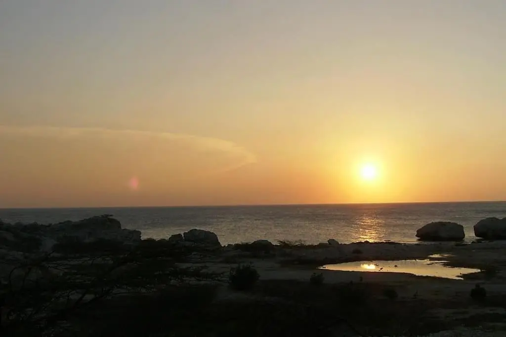 img_id_1134484.webp