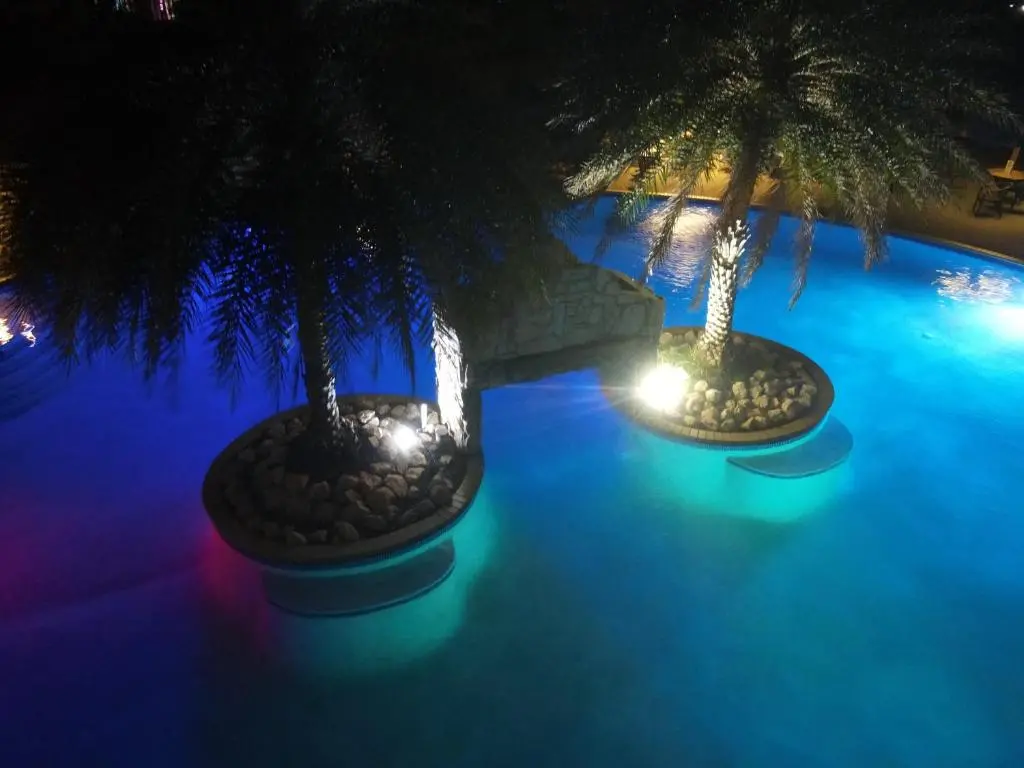 img_id_1134648.webp