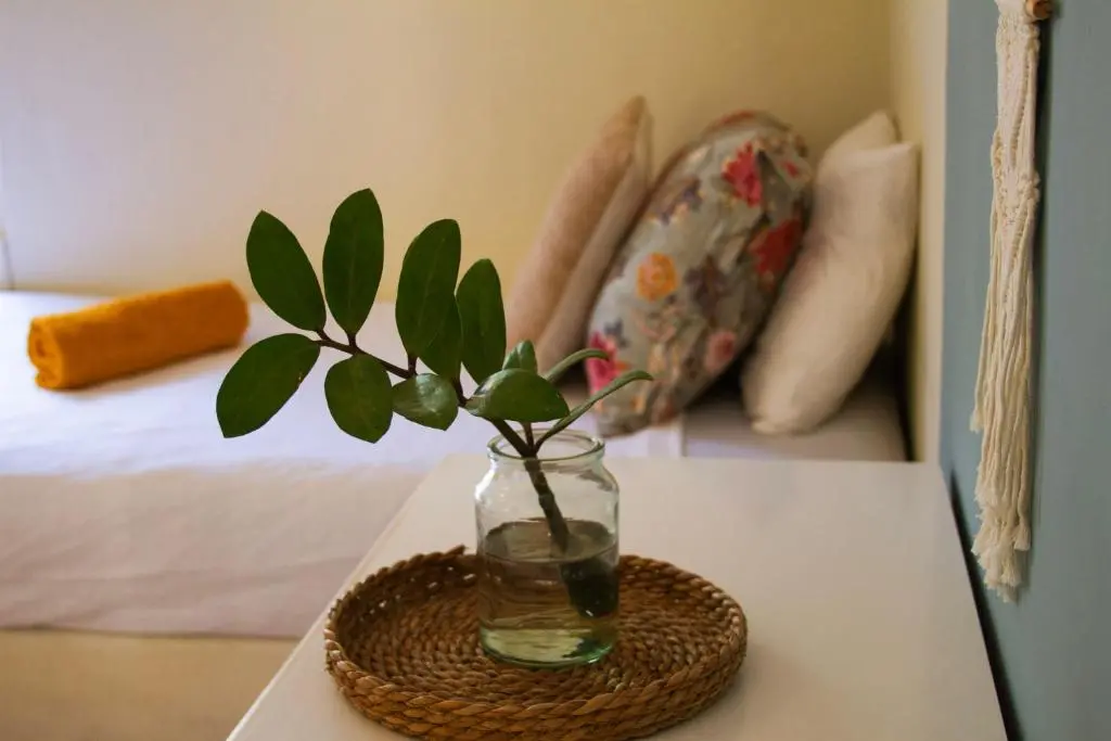 img_id_1134739.webp