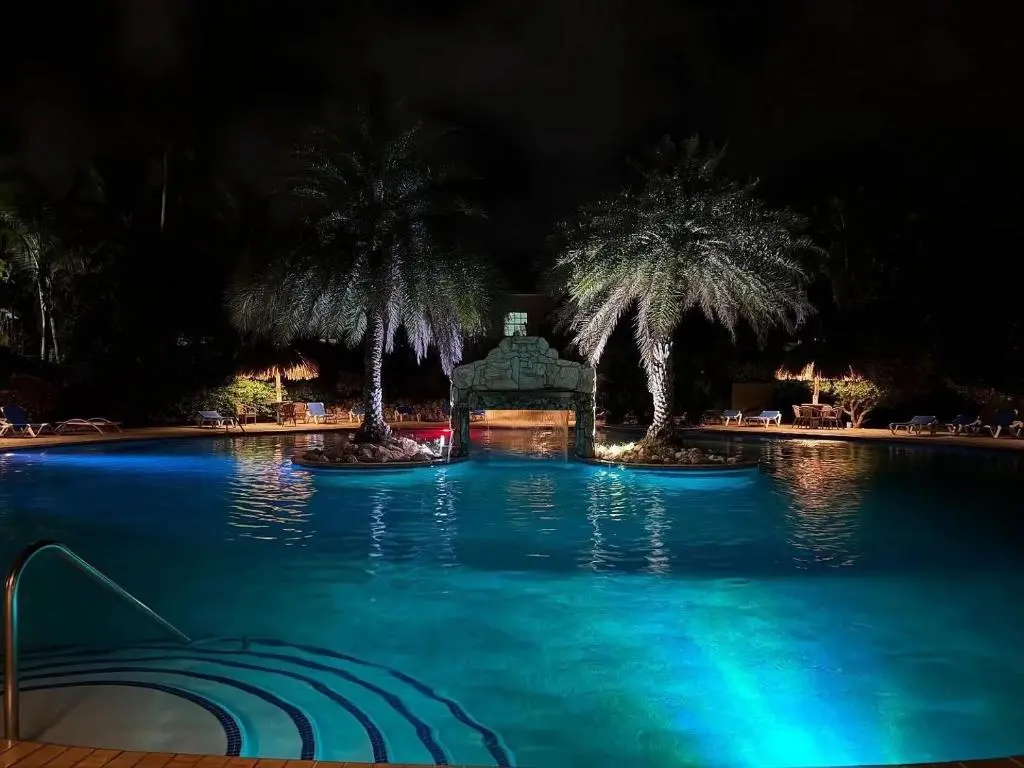 img_id_1136235.webp