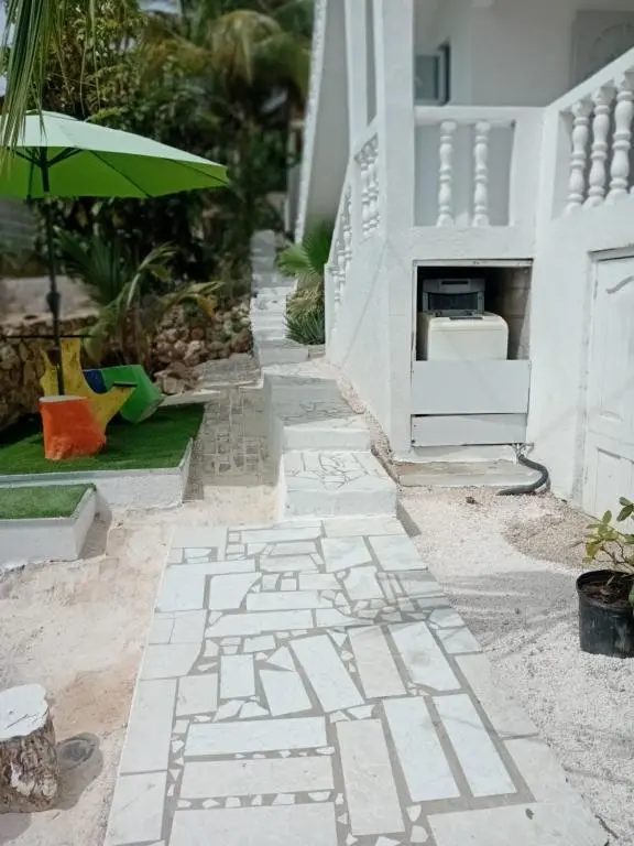 img_id_1137669.webp
