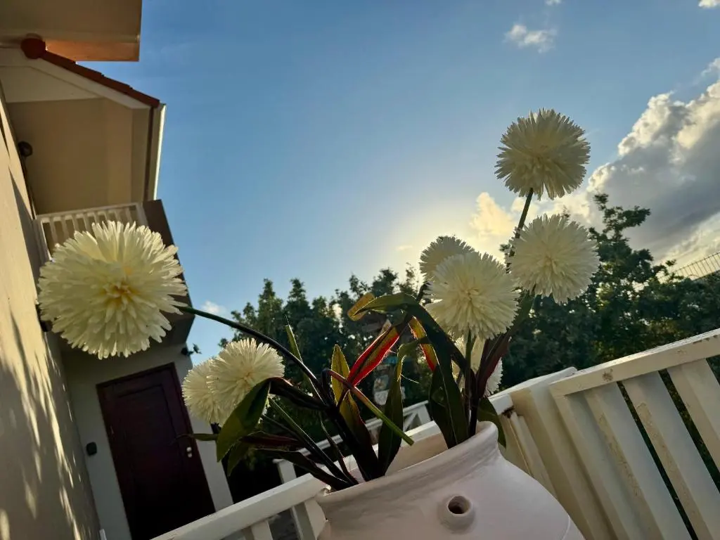img_id_1138716.webp