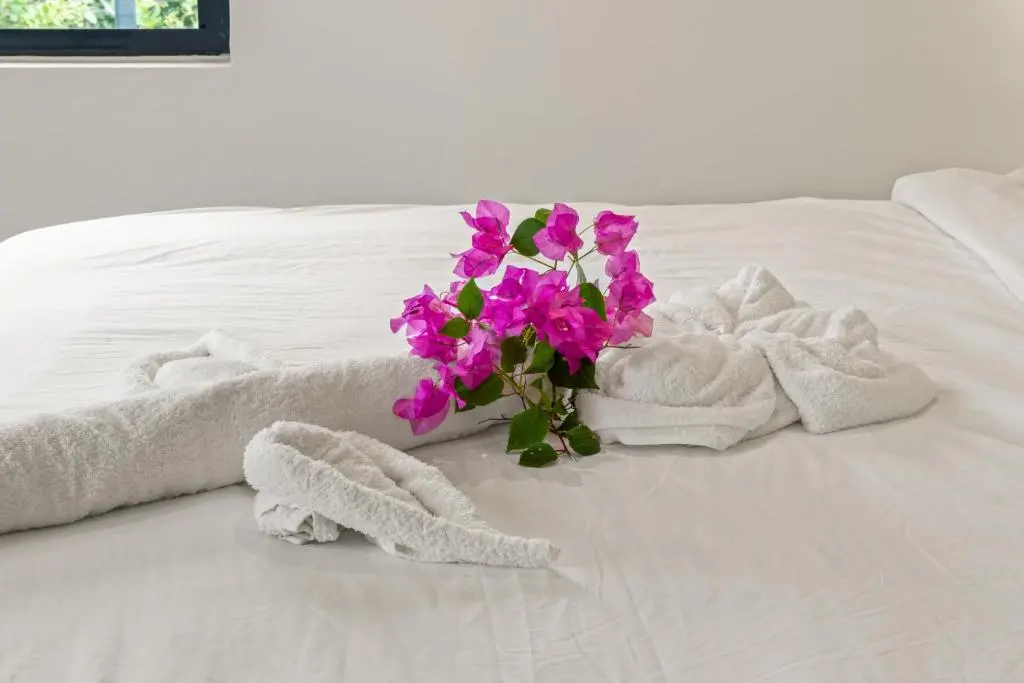 img_id_1138933.webp