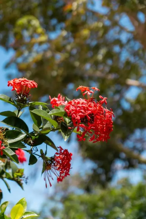 img_id_1140040.webp