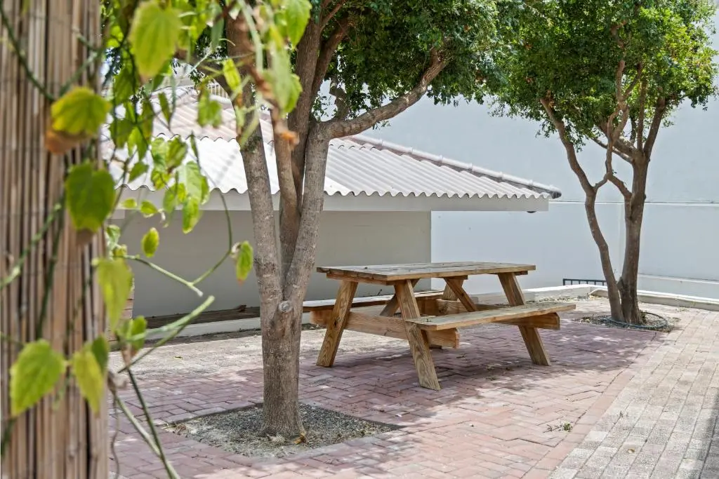 img_id_1141860.webp