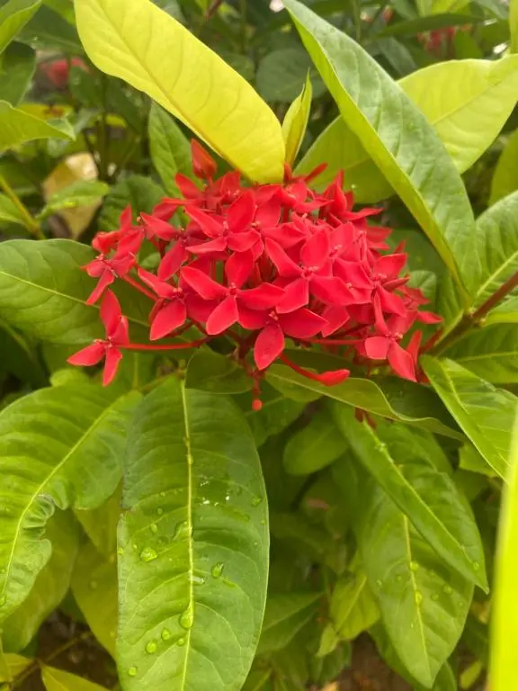 img_id_1142680.webp