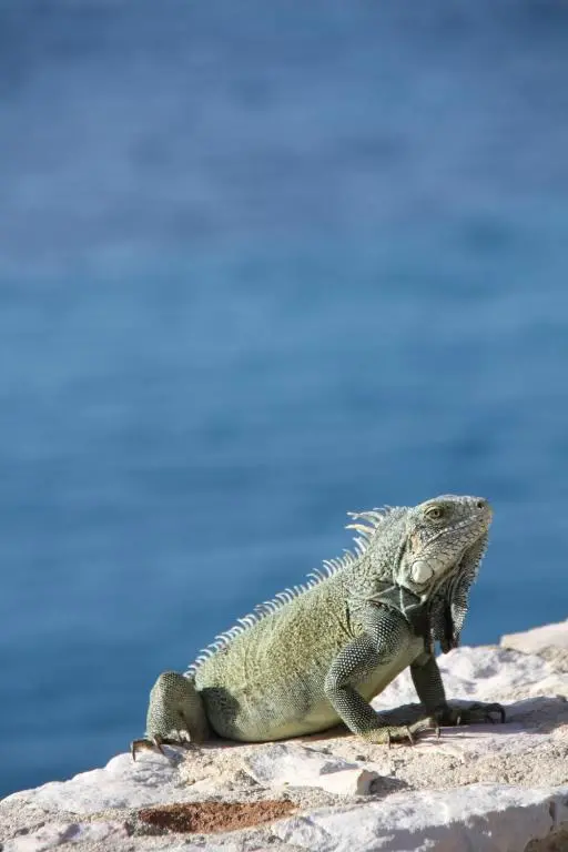 img_id_1142880.webp
