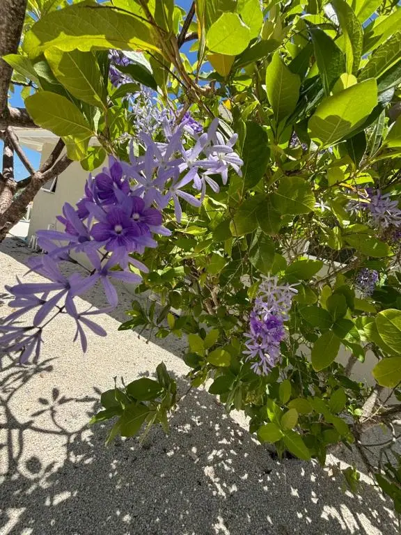 img_id_1145317.webp