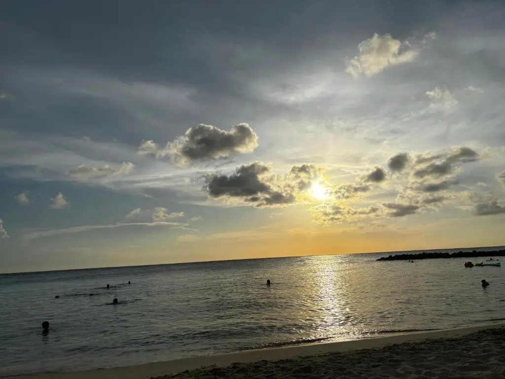 img_id_1146245.webp