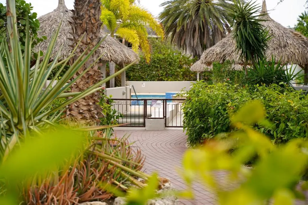 img_id_1146497.webp