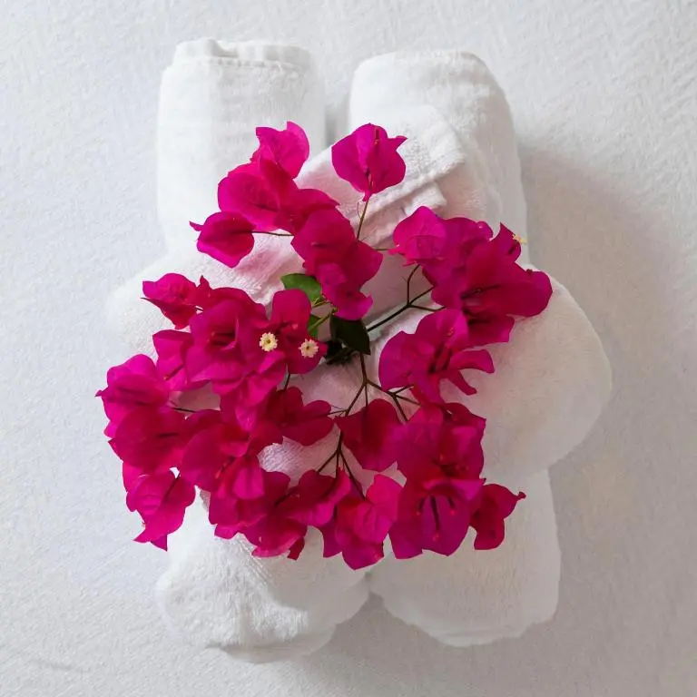 img_id_1147378.webp