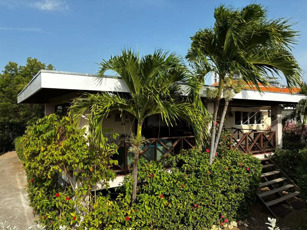 img_id_1148635.webp