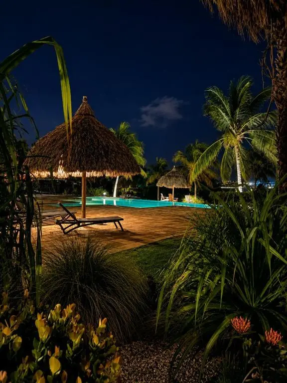 img_id_1150912.webp