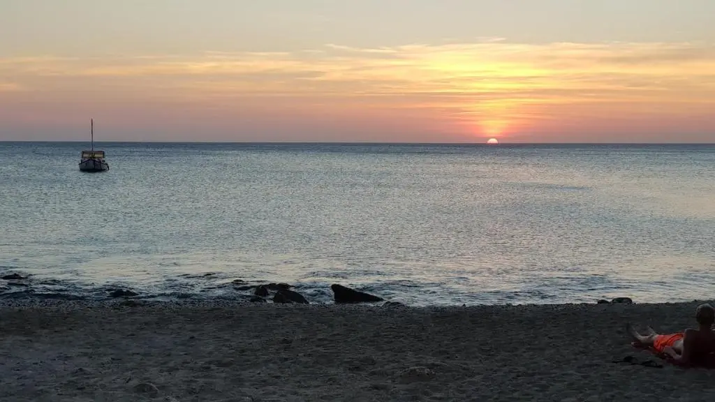 img_id_1151895.webp