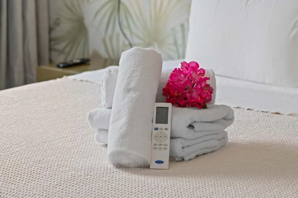 img_id_1155234.webp