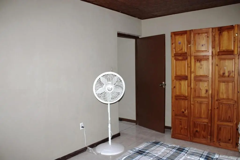 img_id_1156196.webp