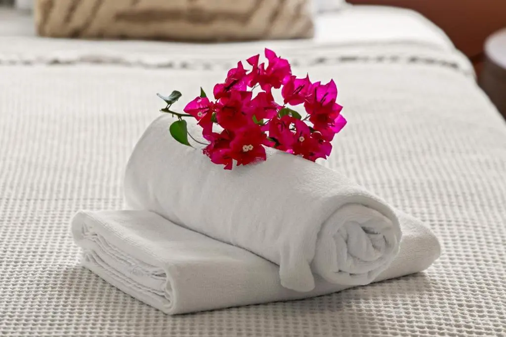 img_id_1157554.webp