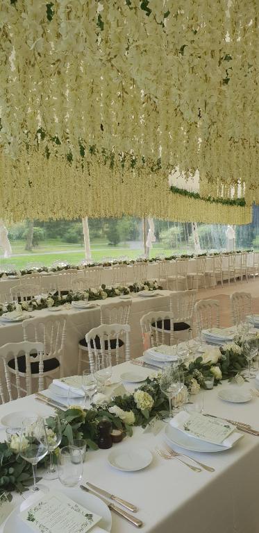 img_id_1173370.jpg