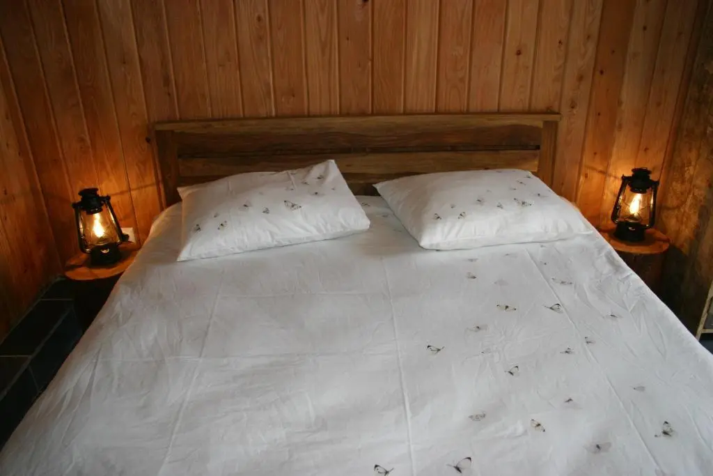img_id_1177809.webp