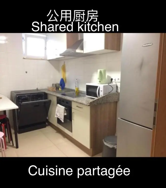 img_id_1183472.webp