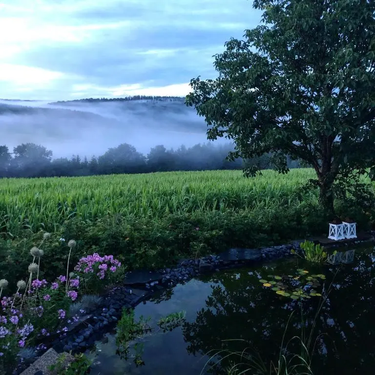 img_id_1187367.webp