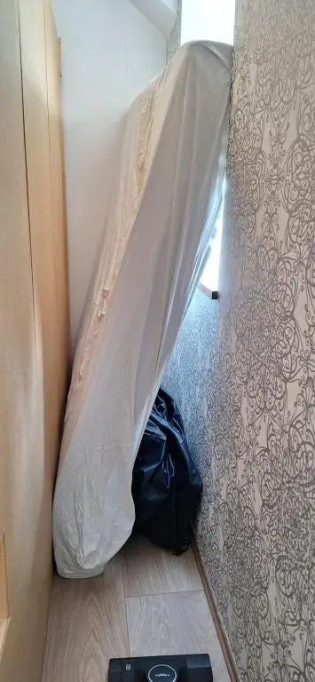 img_id_1195919.webp