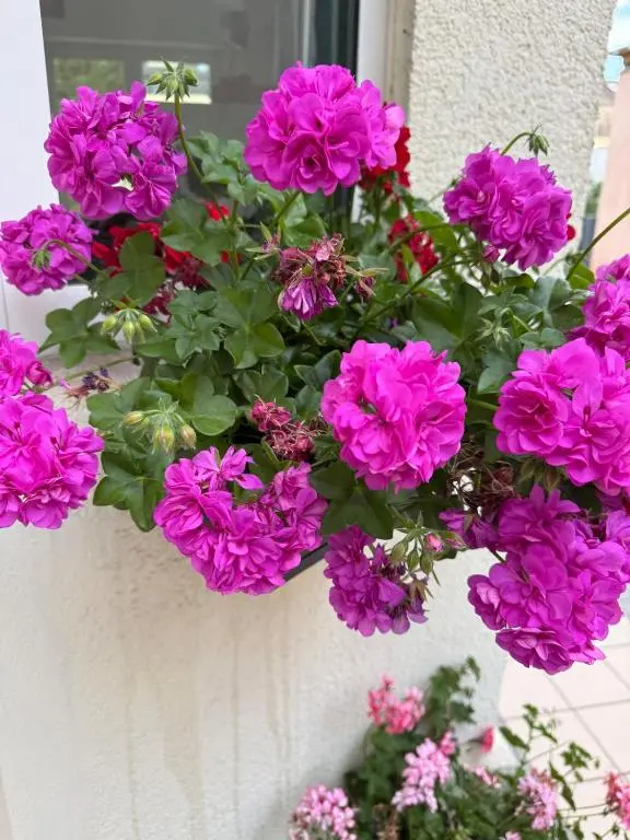 img_id_1201958.webp