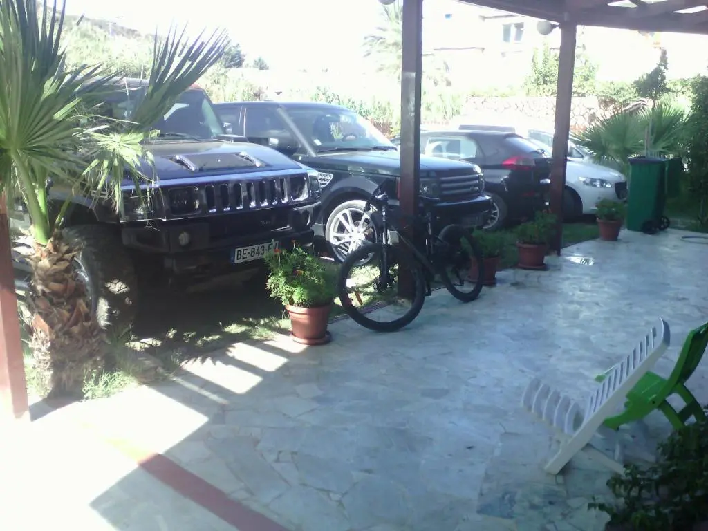 img_id_1231425.webp