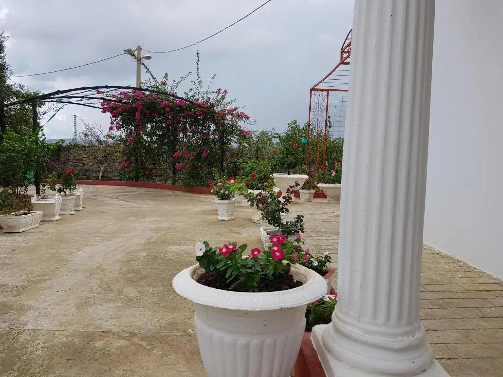 img_id_1232220.webp