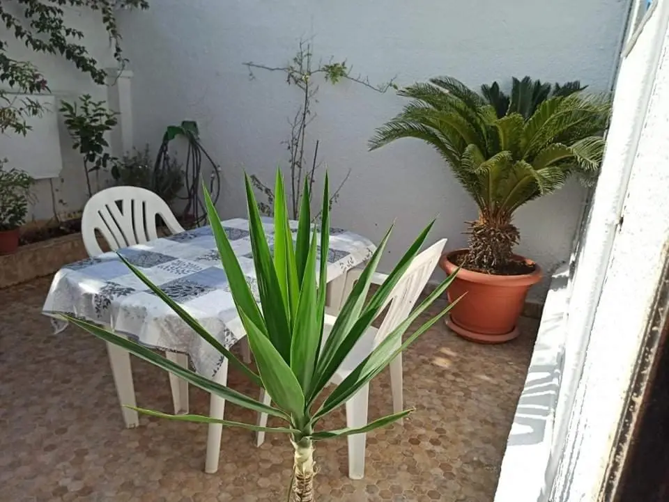 img_id_1233672.webp